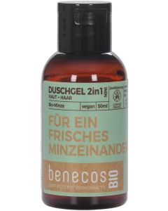 RG Duschgel 2in1 Minze, 50ml