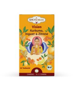 6er-Pack: Vision, 32g