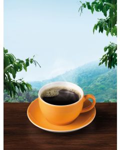 6er-Pack: Plantagen Kaffee gemahlen, 250g