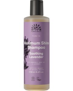 Soothing Lavender Shampoo, 250ml
