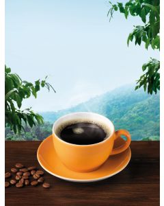 6er-Pack: Plantagen Kaffee Bohne Dem., 250g
