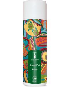 Shampoo Repair, 200ml