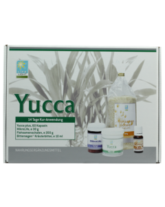 Yucca Kur 1 Monat