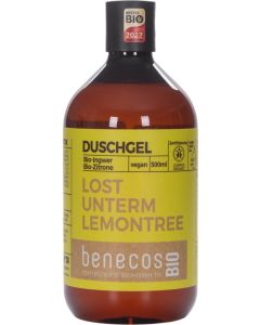 Duschgel Ingwer+Zitrone, 500ml