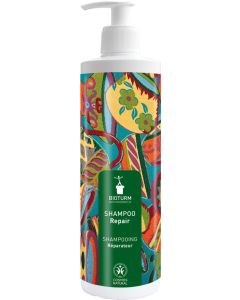 Shampoo Repair, 500ml