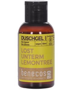 KG Duschgel Ingwer+Zitrone, 50ml