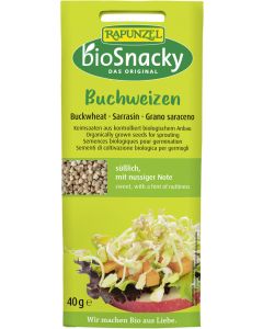12er-Pack: Buchweizen geschält bioSnacky, 40g
