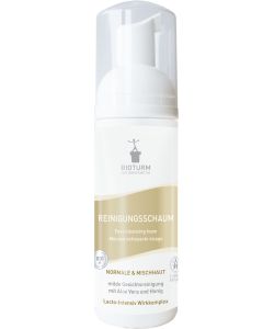 Reinigungsschaum, 150ml