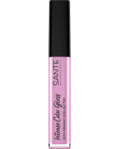 Intense Color Gloss 05, 5,3ml